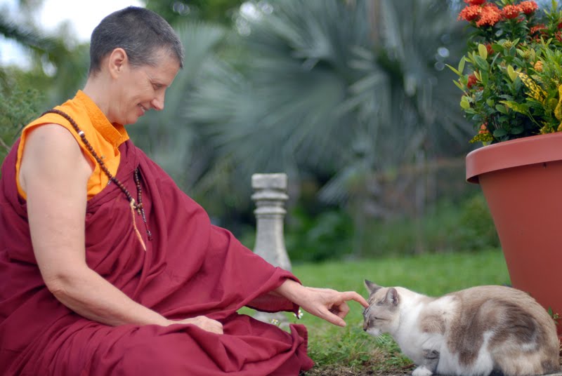 Open Awarenedd Buddhist Center at miamibuddhism.com Dharma Talks 2017 by Lama Karma Chotso.